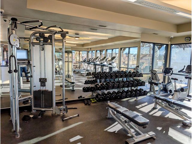 6778 Coach Light Ct, Timnath, CO 80547