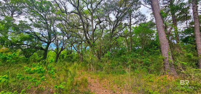 30701 Stanton Road, Spanish Fort, AL 36527