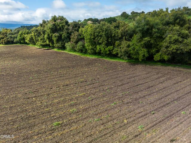 1259 Alamo Pintado Road, Solvang, CA 93463