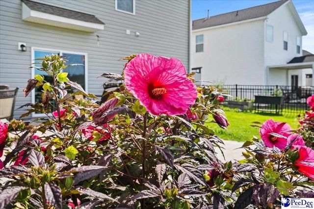 1068 Summer Duck Loop, Florence, SC 29501