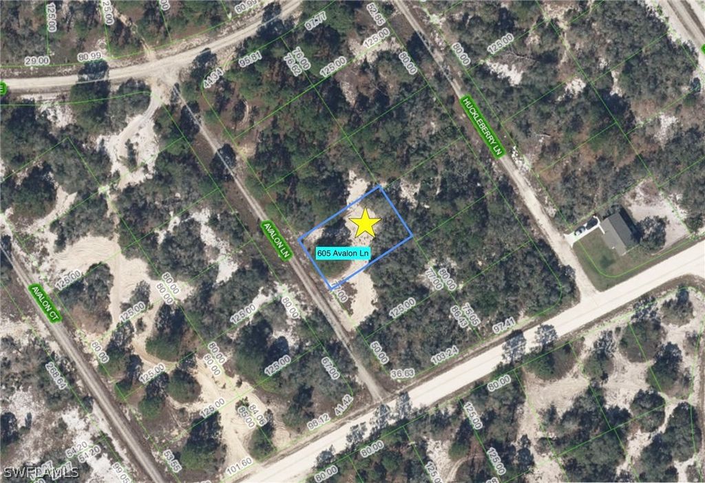 605 Avalon LN, Lake Placid, FL 33852