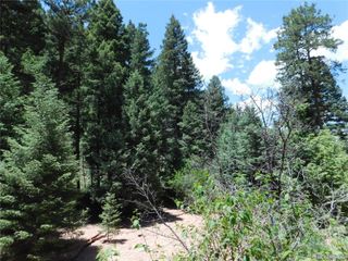 13175 Spruce Creek Circle, Larkspur, CO 80118