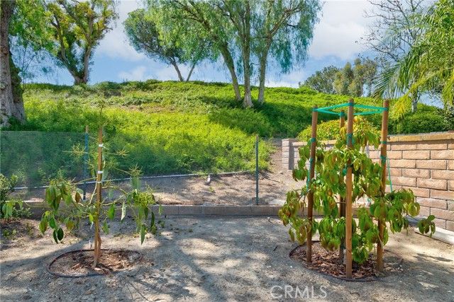 5387 Via Ramon Road, Yorba Linda, CA 92887