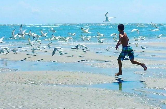 2618 Rion St., Georgetown, SC 29440