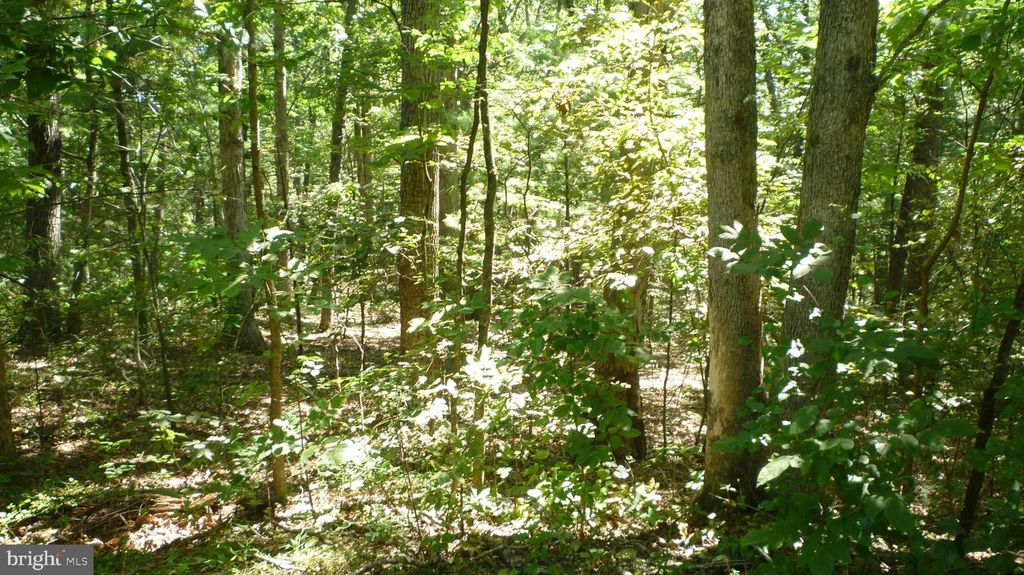 LOT 95 WILLOW LANE, Mount Jackson, VA 22842