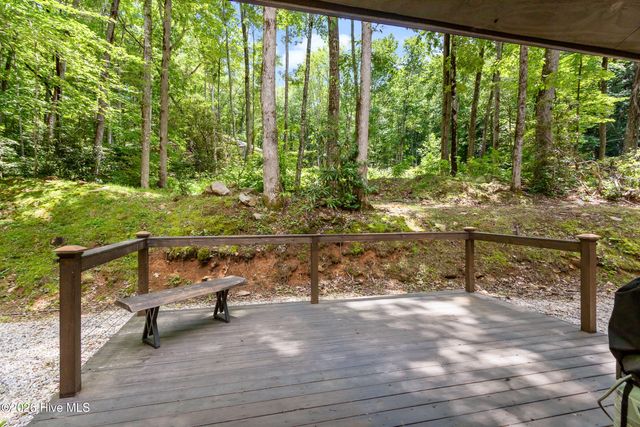 2052 Granny Squirrel Drive, Andrews, NC 28901