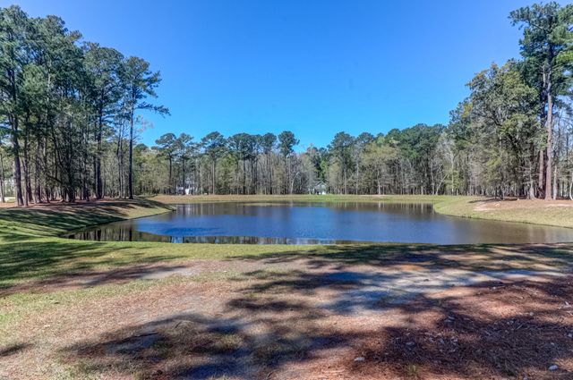 1299 Segar Street, Johns Island, SC 29455