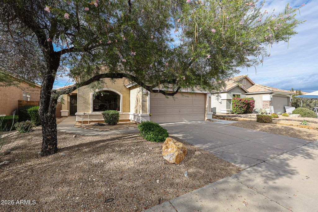 2252 E MARIPOSA GRANDE --, Phoenix, AZ 85024 — photo 4