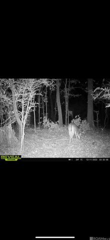 7891 Hillside Dr, Clinton, LA 70722