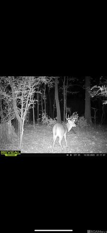 7891 Hillside Dr, Clinton, LA 70722