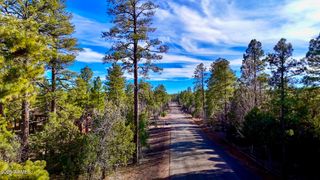 6101 E Starlight Ridge Road Road 13, Lakeside, AZ 85929