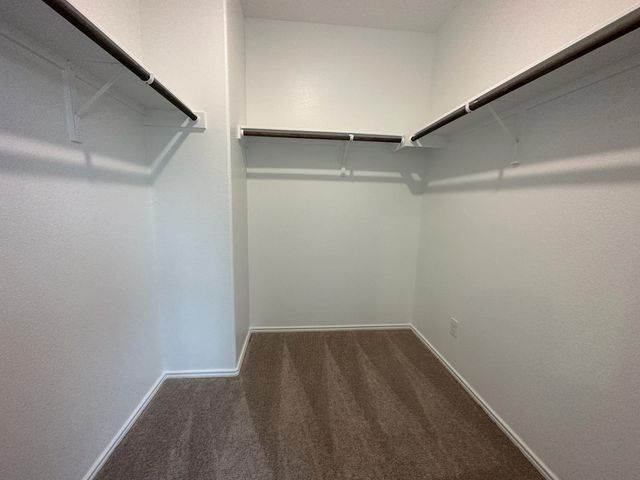 229 Sonterra DR, San Marcos, TX 78666