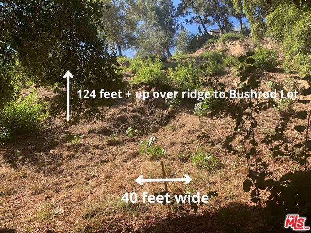 2311 N Beverly Glen Place, Los Angeles, CA 90077