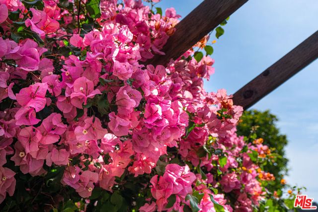 4015 Shelburn Court, Los Angeles, CA 90065