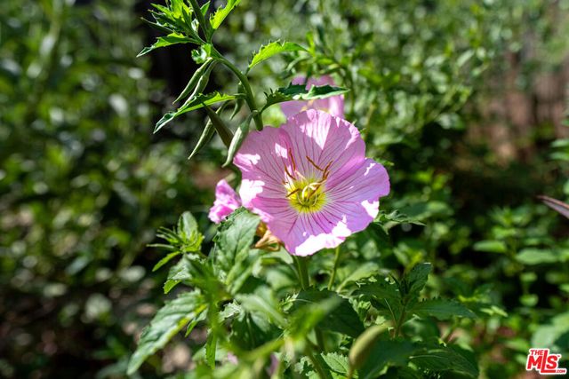 4015 Shelburn Court, Los Angeles, CA 90065