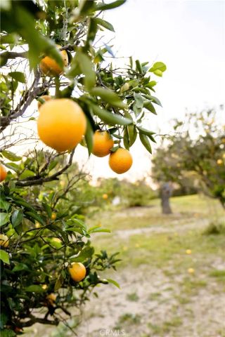 804 El Paisano, Fallbrook, CA 92028