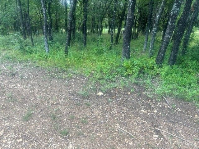 2570 Randell Lake Road, Denison, TX 75020