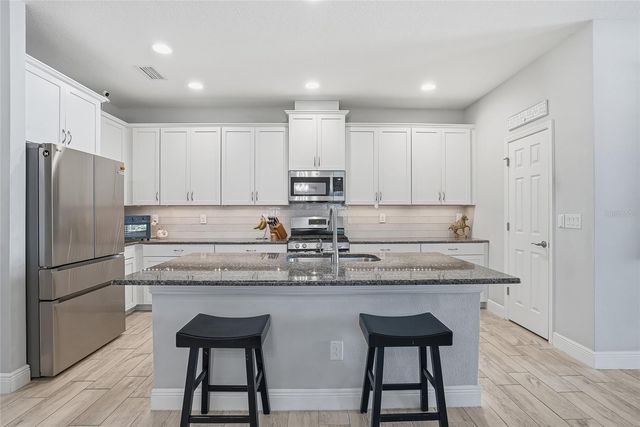 6318 SPRINGLINE PLACE, Apollo Beach, FL 33572