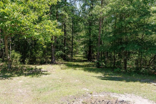 6404 Cartledge Road, Box Springs, GA 31801