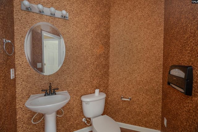 117 Millstone Lane, Lexington, SC 29072