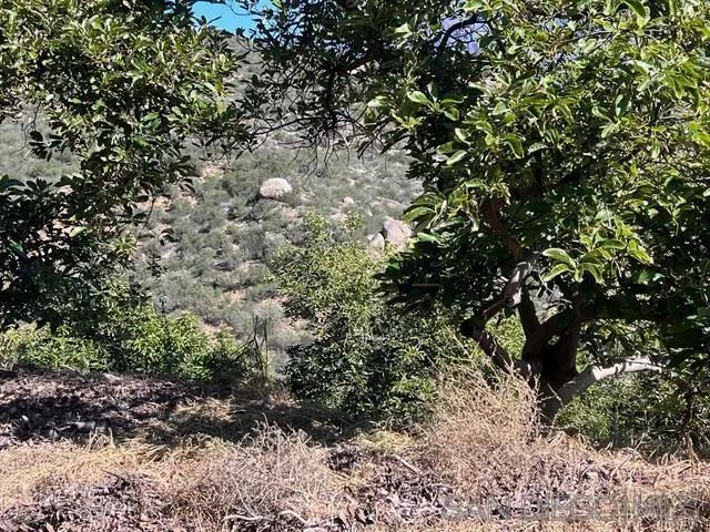 0 Pauma Heights Rd 9, Valley Center, CA 92082