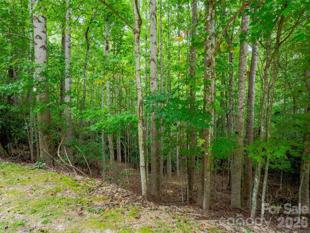 76 Old Hickory, Lot 152 Trail, Hendersonville, NC 28739