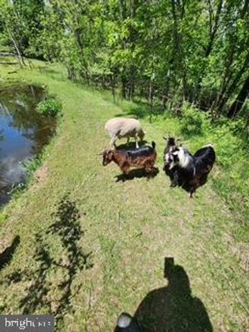 2115 POTTS HILL RD, Etters, PA 17319