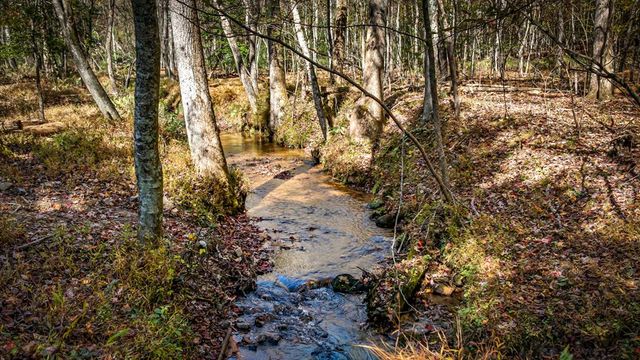 212 Dogpatch Lane, Blue Ridge, GA 30513