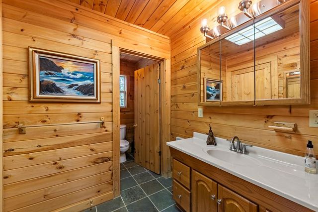 212 Dogpatch Lane, Blue Ridge, GA 30513