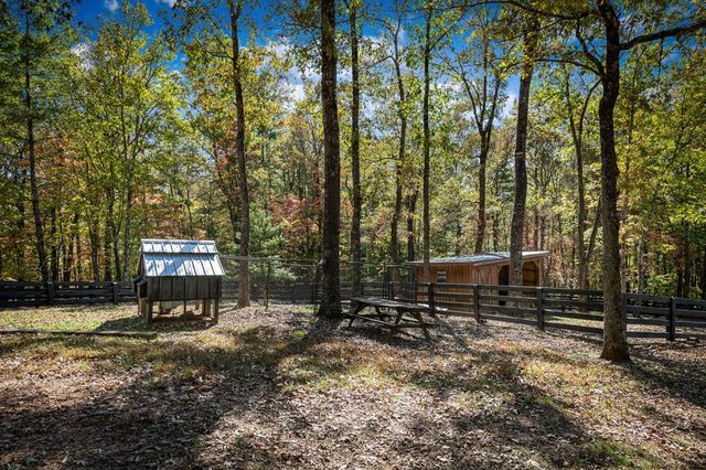 212 Dogpatch Lane, Blue Ridge, GA 30513