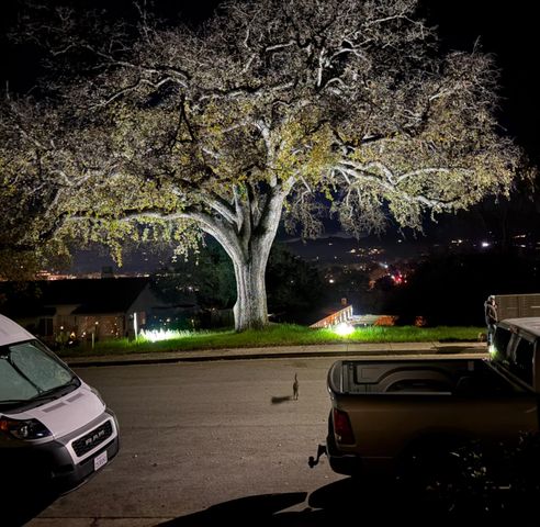 102 Via Promesa, Paso Robles, CA 93446