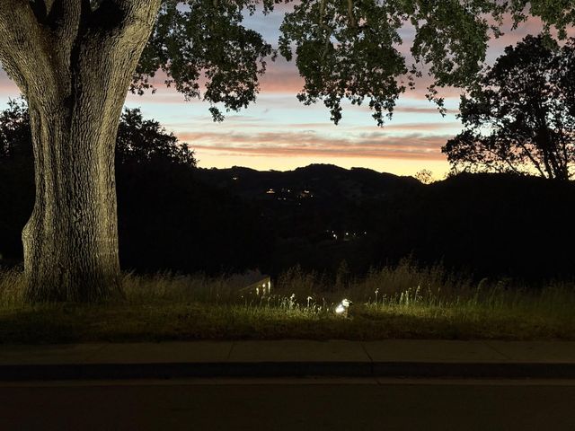 102 Via Promesa, Paso Robles, CA 93446