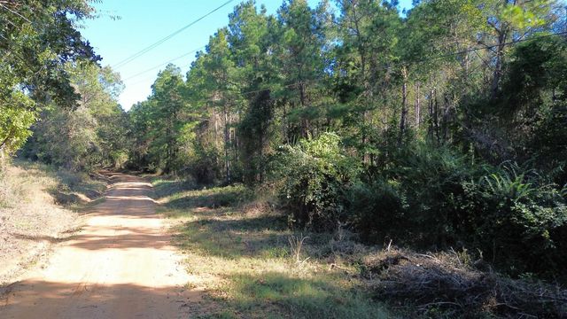 TBD CR 2265, Grapeland, TX 75844