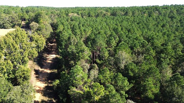 TBD CR 2265, Grapeland, TX 75844