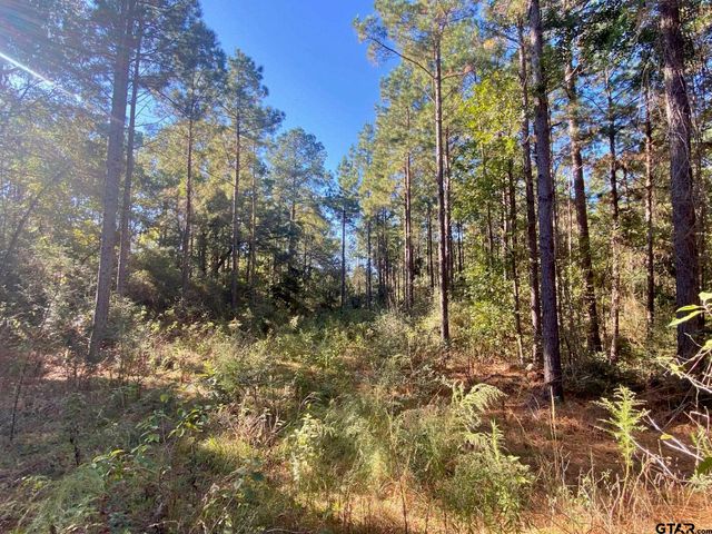 TBD CR 2265, Grapeland, TX 75844