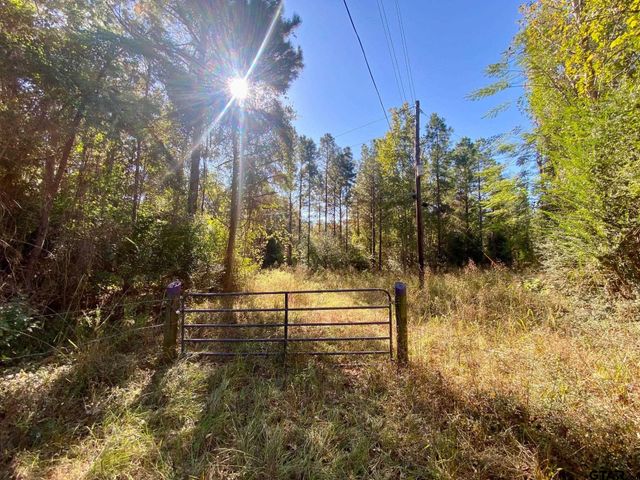 TBD CR 2265, Grapeland, TX 75844