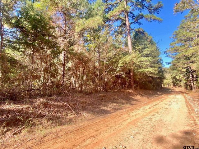 TBD CR 2265, Grapeland, TX 75844