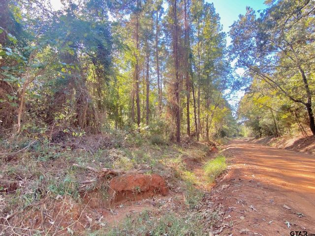 TBD CR 2265, Grapeland, TX 75844