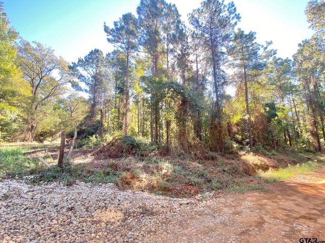 TBD CR 2265, Grapeland, TX 75844