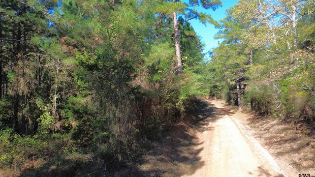 TBD CR 2265, Grapeland, TX 75844