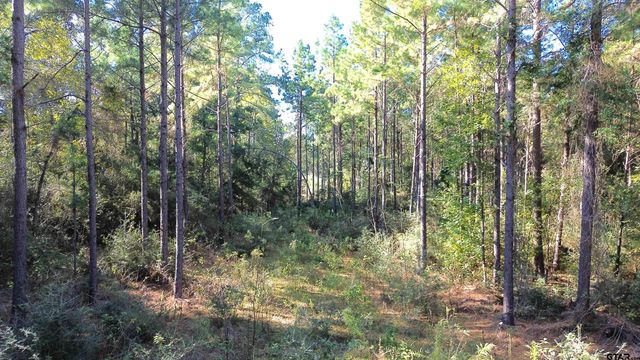 TBD CR 2265, Grapeland, TX 75844