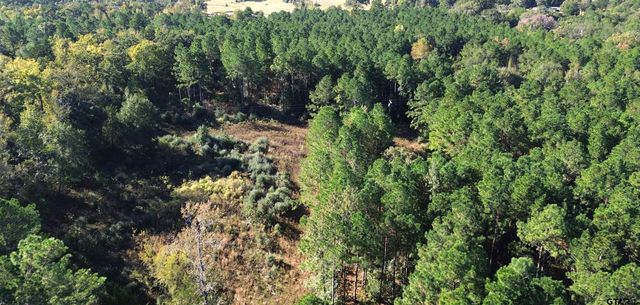 TBD CR 2265, Grapeland, TX 75844