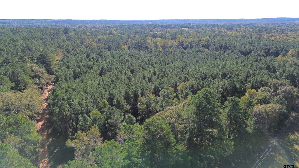 TBD CR 2265, Grapeland, TX 75844