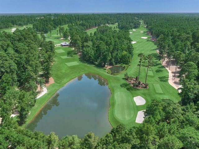 4477 Lily Bean Road, Montgomery, TX 77316