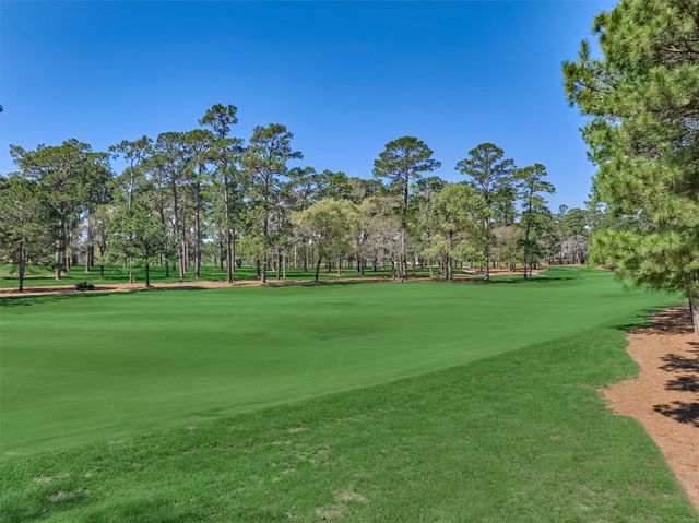 4477 Lily Bean Road, Montgomery, TX 77316