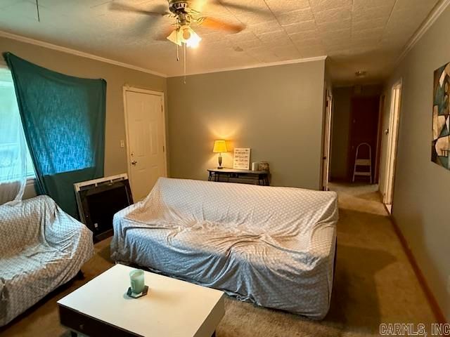 502 E 7th, Carlisle, AR 72024