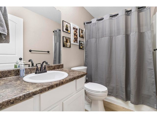 1008 Axis Dr, Severance, CO 80550