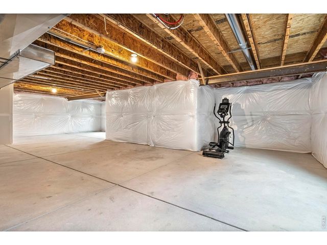 1008 Axis Dr, Severance, CO 80550