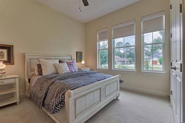 11767 Grand Harbor Boulevard, Montgomery, TX 77356