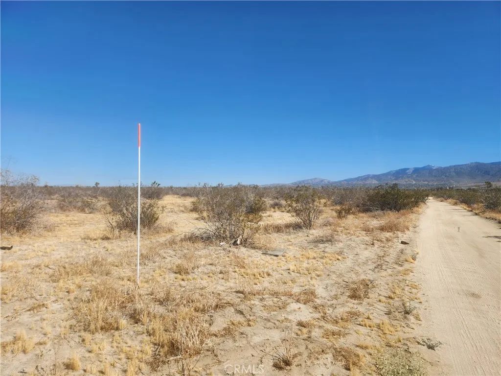 40 Pomona, Pinon Hills, CA 92372